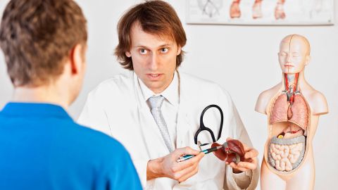 Leberkrebs Definition (Symboldbild) (Quelle: Getty Images/Jan-Otto) Ein Arzt sitzt gegenüber von einem Patienten. In der Hand hält er ein Modell der Leber. Mit einem Kugelschreiber zeigt er auf das Modell.