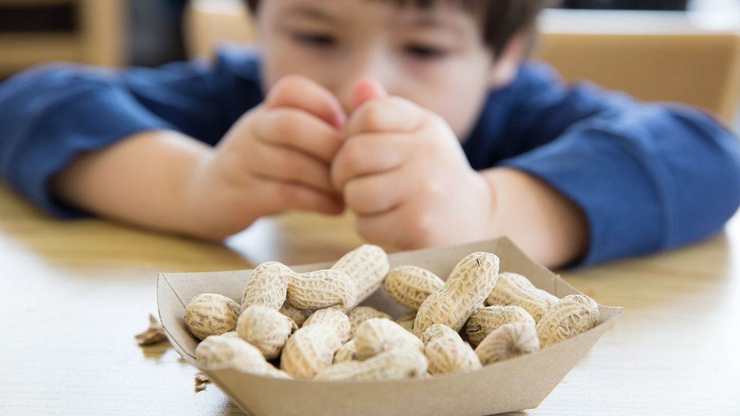 Nüsse (Quelle: Getty Images/michellegibson) Nahrungsmittelallergie: Ein Junge sitzt an einem Tisch vor einer Schale mit Erdnüssen.