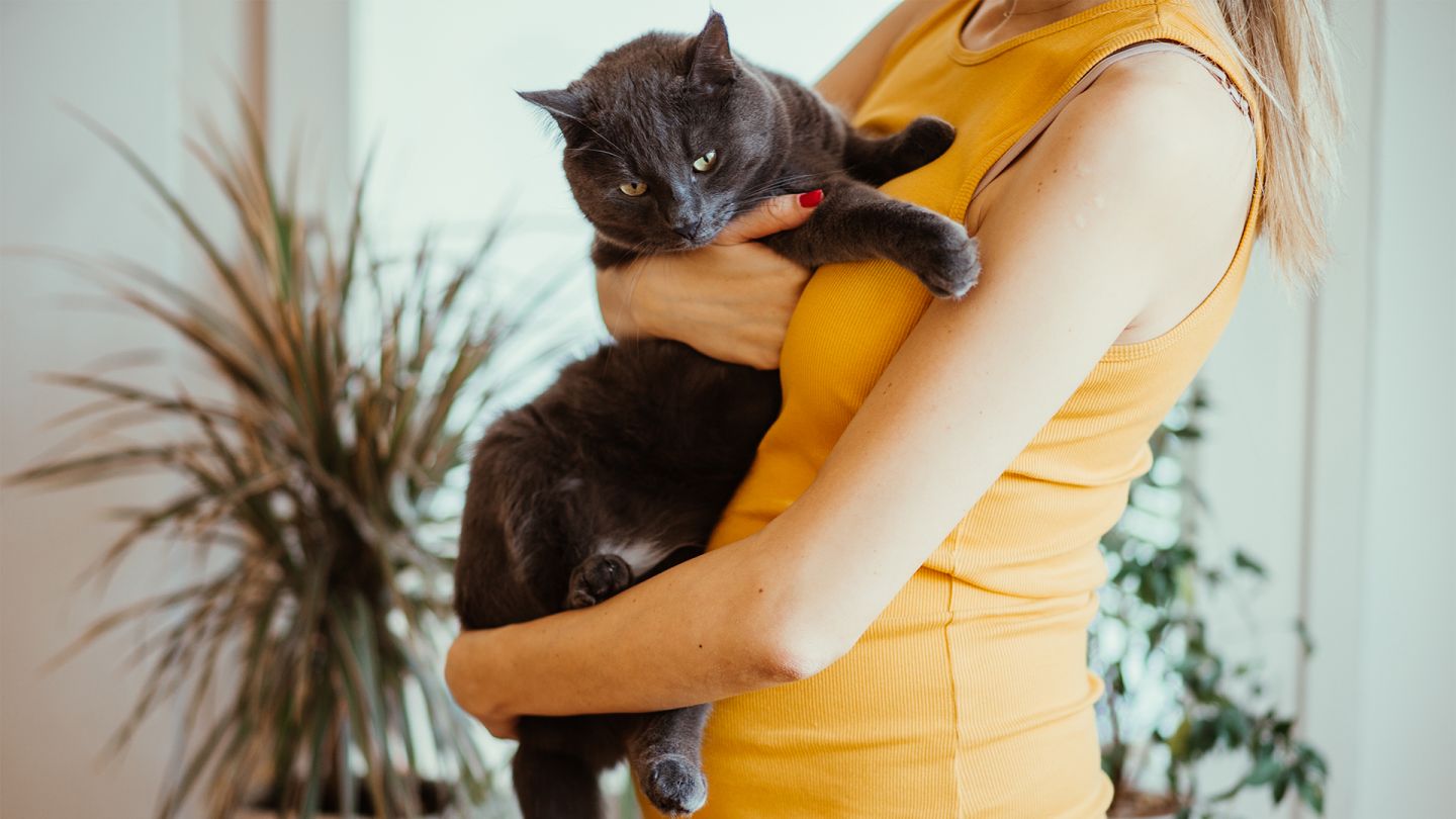 Toxoplasmose (Quelle: Getty Images/petrunjela) Eine schwangere Frau hält eine schwarze Katze auf dem Arm.
