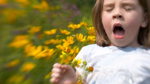 Allergien Symptome (Quelle: Getty Images/BigPappa) Ein Mädchen steht in einer Blumenwiese und hält mehrere kleine Sonnenblummen in einer Hand. Das Mädchen hat den Mund geöffnet, die Augen geschlossen und muss niesen. Offenbar reagiert sie allergisch auf die Pflanzen um sich herum.