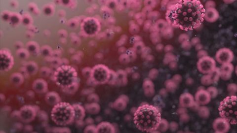 SARS-Coronavirus-2 (SARS-CoV-2) (Quelle: Getty Images/4X-image) Dutzende Virionen der Spezies SARS-CoV-2.