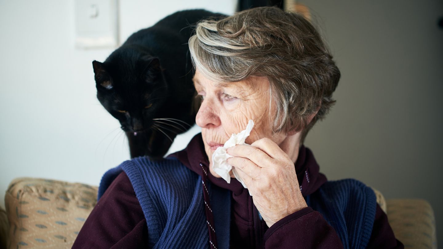 Tierallergie (Quelle: Getty Images) Tierallergie: Eine Frau sitzt auf einem Stuhl, auf dessen Lehne ein schwarzer Kater sitzt. Mit einer Hand hält die Frau ein Taschentuch an ihr Gesicht.